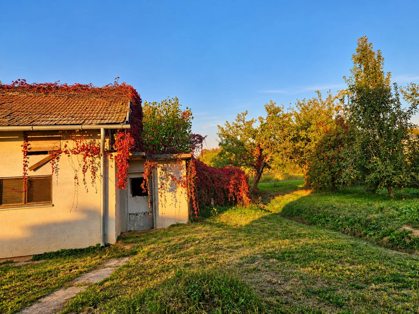 Staro imanje s voćkama u večernjem svjetlu prije rada