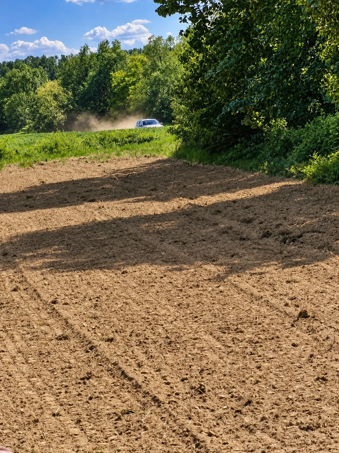 Izorana oranica uz rub šume