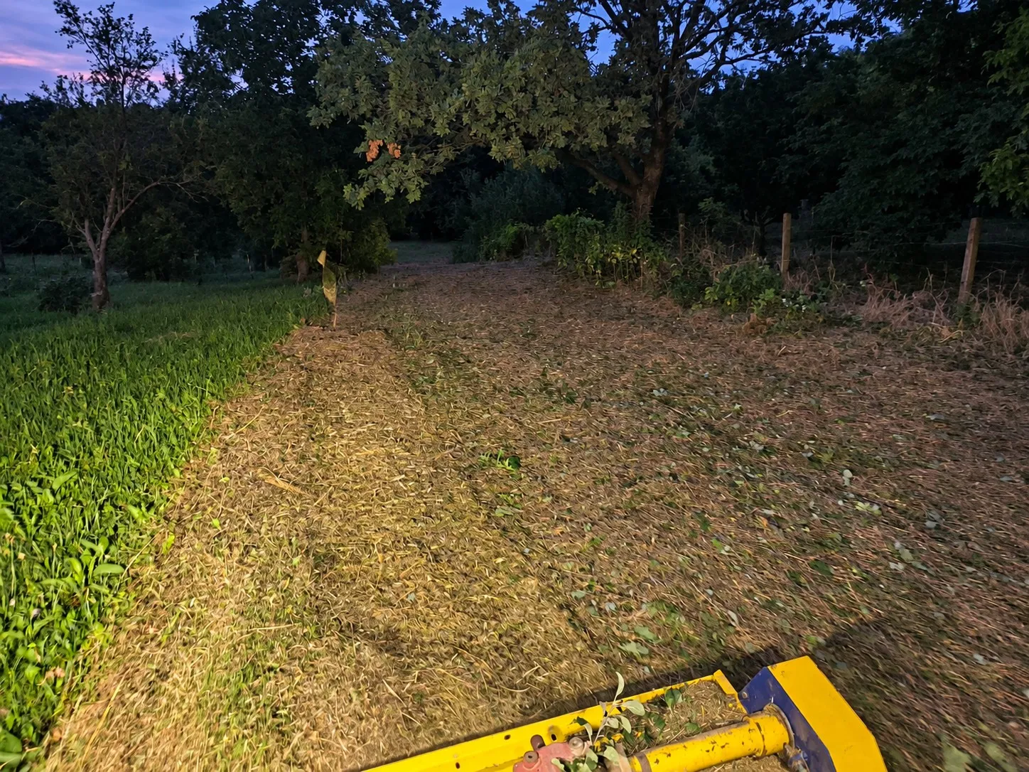 Pokošena traka uz rub livade u sumrak